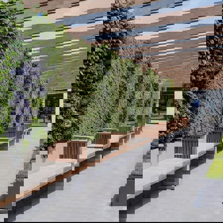 338162.jpeg